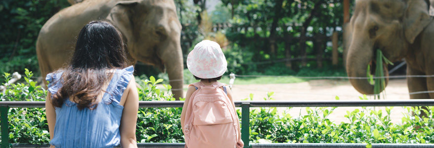 parc d'animaux